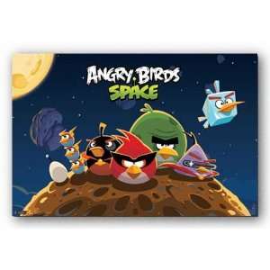  (22x34) Angry Birds Space Group Video Game Poster