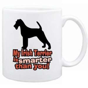   New  My Irish Terrier Is Smarter Than You   Mug Dog