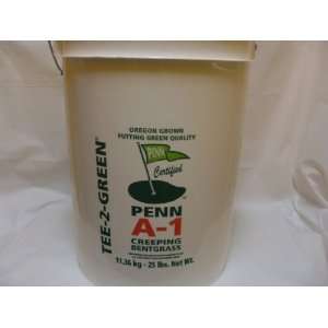  Penn A 1 Creeping Bentgrass Certified Seed 25lb Patio 