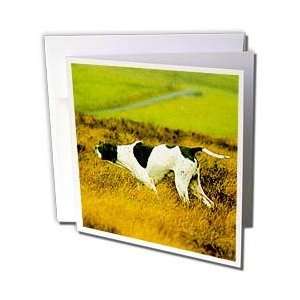  Dogs The Pointer   The Pointer Dog   Greeting Cards 12 