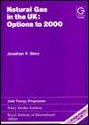   Year 2000, (0566050188), Jonathan P. Stern, Textbooks   