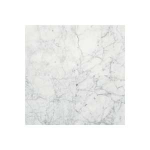  Marble Carrara Gioia 12in x12in