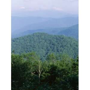  Looking Over the Appalachian Mountains from the Blue Ridge 