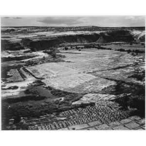   Poster   Corn Field, Indian Farm near Tuba City, Arizona 1941 30 X 24