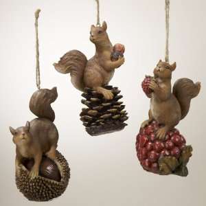  New   Pack of 12 In the Birches Squirrel with Pine Cone & Food 