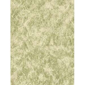  Wallpaper Patton Wallcovering Sponge Painted textures II 