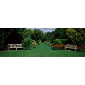  Park Bench in a Garden, Hillier Gardens, New Forest 