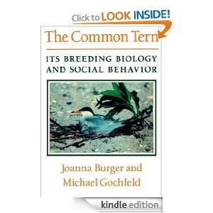 The Common Tern Joanna Burger  Kindle Store