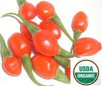 1000+ Himalayan USDA Organic GOJI Berry Seeds Wolfberry  
