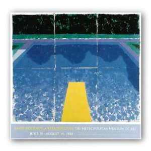  Day Pool With 3 Blues by David Hockney 25.25x31 Art 