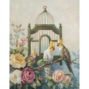  Cockatiel And Roses By Maxine Johnston Highest Quality Art 
