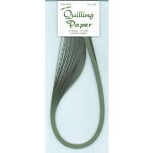  12 PACK QUILL PPR PALE GREEN 50pcs 1/8in Papercraft 
