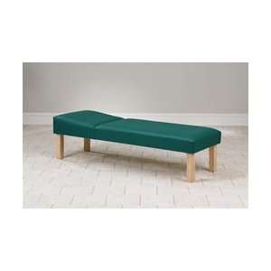 Recovery Couch with Hardwood Legs   24 Width  Industrial 
