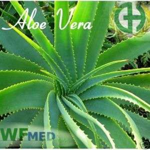 32 OZ Aloe Vera Carrier Essential Oil 100% PURE Uncut  