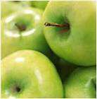 10 CANS FREEZE DRIED APPLES (1/2 CASE) EMERGENCY SURVIVAL FOOD 