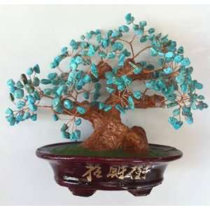  8 Natural Turquoise Gem Stone Money Tree Feng Shui 