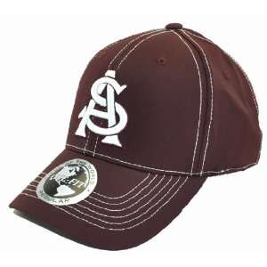 Arizona State Endurance OneFit Hat (Team Color)  Sports 