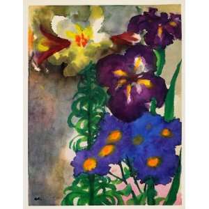  1966 Print Emil Nolde Iris Lily Flowers Watercolor 