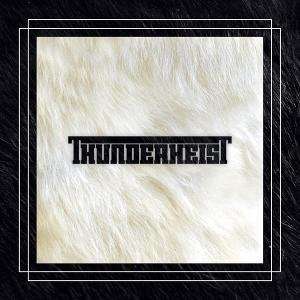  S/T LP (VINYL) UK BIG DADA 2009 THUNDERHEIST Music