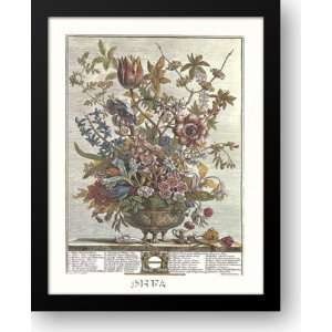  Twelve Months of Flowers, 1730/February 21x26 Framed Art 