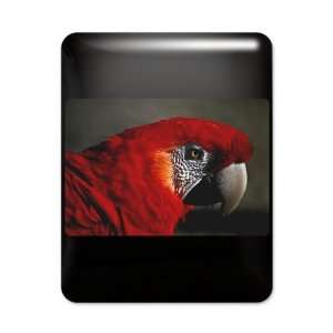  iPad Case Black Scarlet Macaw   Bird 