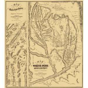  WHITE PINE MINING NEVADA (NV) LANDOWNER MAP 1869