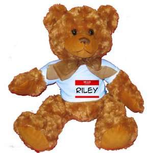  HELLO my name is RILEY Plush Teddy Bear with BLUE T Shirt 