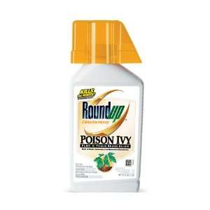  Roundup Brush Kill Qts Case Pack 6   901984 Patio, Lawn 