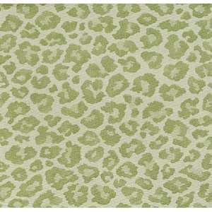  P8043 Bagheera in Paradise by Pindler Fabric