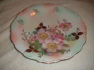 Schumann Arzberg Germany Bavaria Rose Plate Colorful Rose Painting 