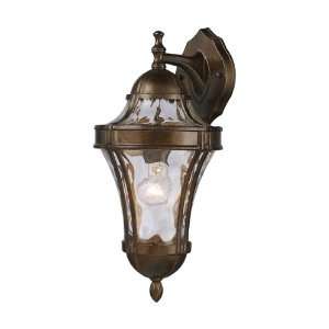   Outdoor Sconce in Hazelnut Bronze W9 H 20 E 9