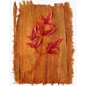  Leaves on Wood, Limited Edition Photograph, Home Decor 