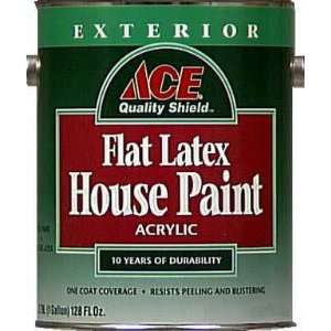  Ace Quality Shield Exterior Flat House Paint Tint Base 