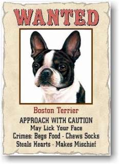  Terrier D og Wanted Poster Fridge Magnet Sign . This dog breed 
