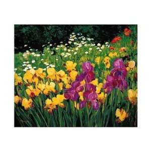  Iris   Poster by Liliane Fournier (23.5 x 19.75)