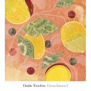  Citrus Limon I (SM.) Finest LAMINATED Print Ouida Touchon 