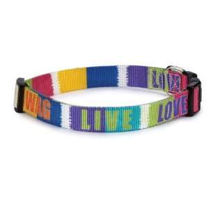  6 10 IN   Inspirational Dog Collars