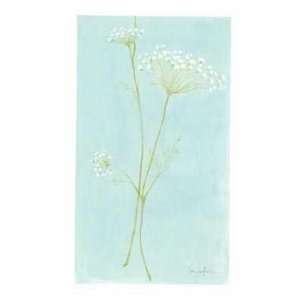  Queen Anne S Lace II (Canv)    Print