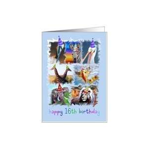  Happy 16th Birthday Zoo Animals Card Toys & Games