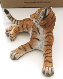 Country Artists Natural World   TIGER Cub   Lying  