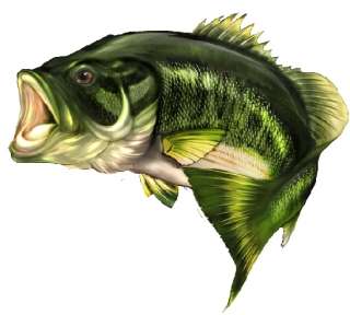 Bass Fish cornhole game decals  