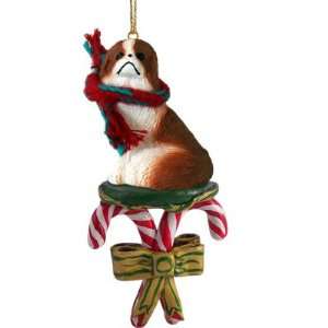  Japanese Chin Brown & White Candy Cane Ornament