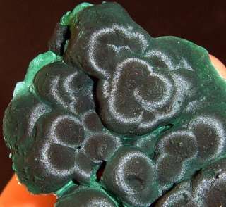 SILKY LUSTER BOTRYOIDAL MALACHITE 2x2373  