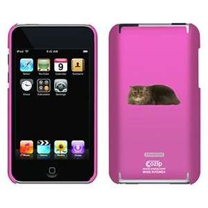  Persian Sitting on iPod Touch 2G 3G CoZip Case 