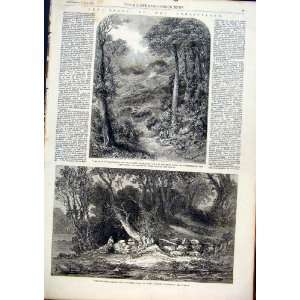  Blackdown Surrey Whymper Woodland Glade Chester 1861