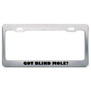 Got Blind Mole? Animals Pets Metal License Plate Frame Holder Border 