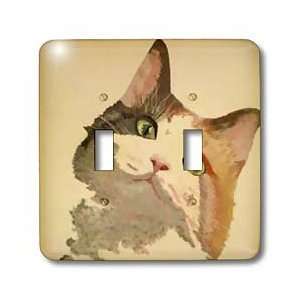    Calico Cats   Im All Ears   animal, calico, calico cat, cat, cats 