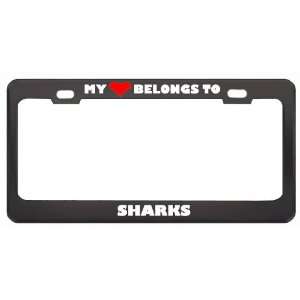 My Heart Belongs To Sharks Animals Metal License Plate Frame Holder 