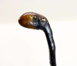 Antique Irish Blackthorn Shillelagh Walking Stick Great Burl Handle C 