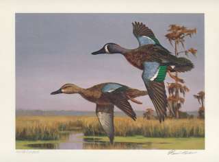 noll with 2 mint stamps and folio blue winged teal